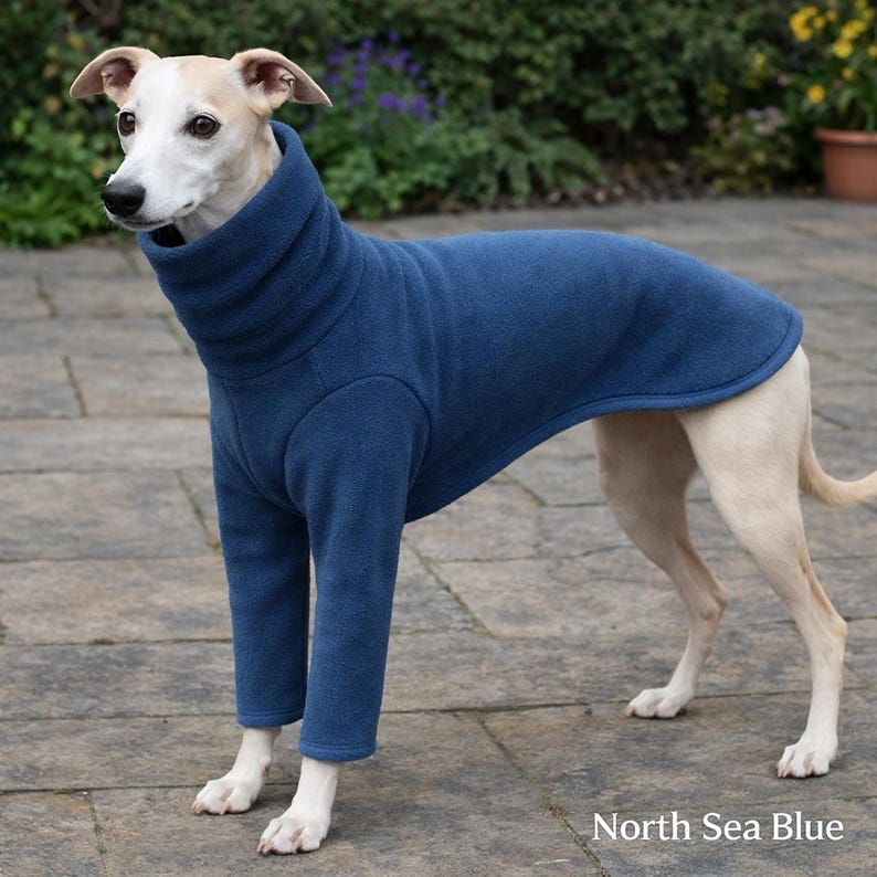 May include: A light-colored dog wearing a navy blue fleece dog coat with a high, turtleneck collar. The coat covers the dog's body and legs. The text "North Sea Blue" is visible at the bottom of the image.