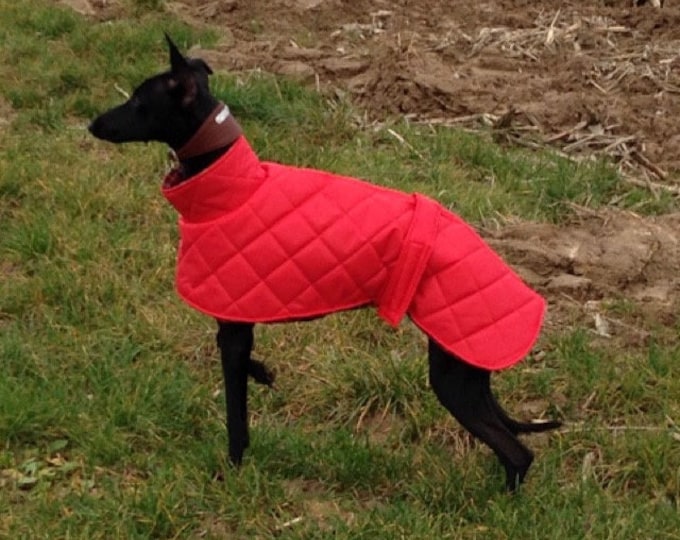 Greyhound waterproof winter quilted coats fleece lined with a short neck custom made coats