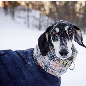 Waterproof winter greyhound coats. Winter coats for greyhound. Greyhound Fleece Coat UK image 5