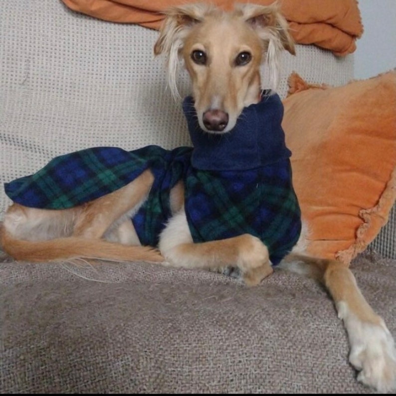 Greyhound, whippet ,saluki Italian greyhound iggy lurcher Plain Polar Fleece Jumper made in the uk. image 2