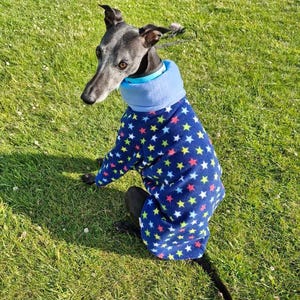 Whippet dog Pyjamas  Dog Pyjamas  Whippet Clothing   pjs for hound   whippet pup clothes