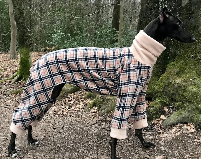 Personalized Halloween Bandana for Dogs Etsy