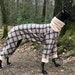 see more listings in the GREYHOUND & WHIPPET PJS  section