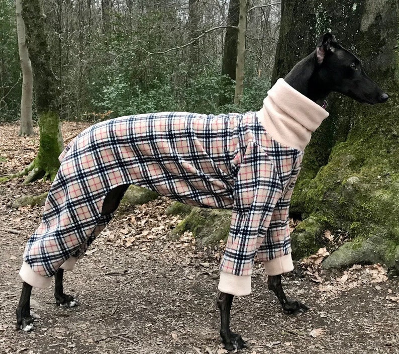 Greyhound Pyjamas, Greyhound Clothing, Greyhound Fleece Pjs, Dog Pyjamas, Whippet Clothing, whippet pyjamas , image 1