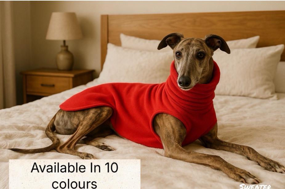 Lévriers Chères Amoureuses Des Chiens Greyhound Lévriers Sweat à Capuche