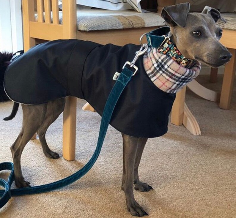 Greyhound Coat Fleece Lined Coat Whippet Coatcótaí Etsy