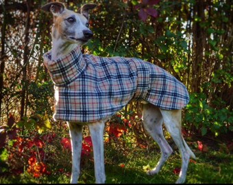 Italian greyhound coats