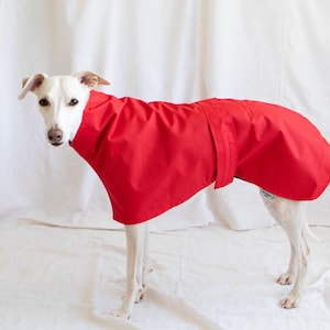 Puede incluir: Un abrigo para perro de color rojo brillante con cuello alto y diseño envolvente que incluye una correa de sujeción segura en la espalda. La prenda la lleva un perro blanco de pelo corto, cubriendo el torso y el cuello y dejando las patas libres.