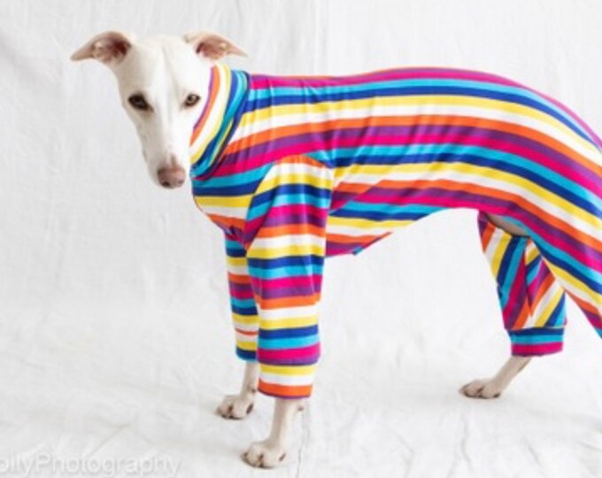 Lightweight jersey cotton Greyhound Pyjamas, Greyhound Clothing,Dog Pyjamas, Whippet Clothing, whippet pyjamas limited edition
