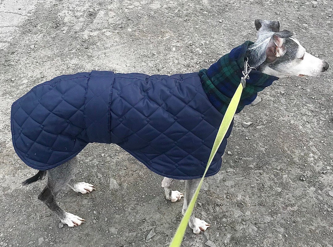 Greyhound Winter Jacket Whippet Waterproof Winter Jackets Dog Coat for