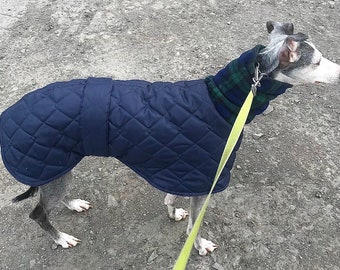 Greyhound winter jacket whippet waterproof winter jackets dog coat for whippets greyhound dog coats whippet dog coats