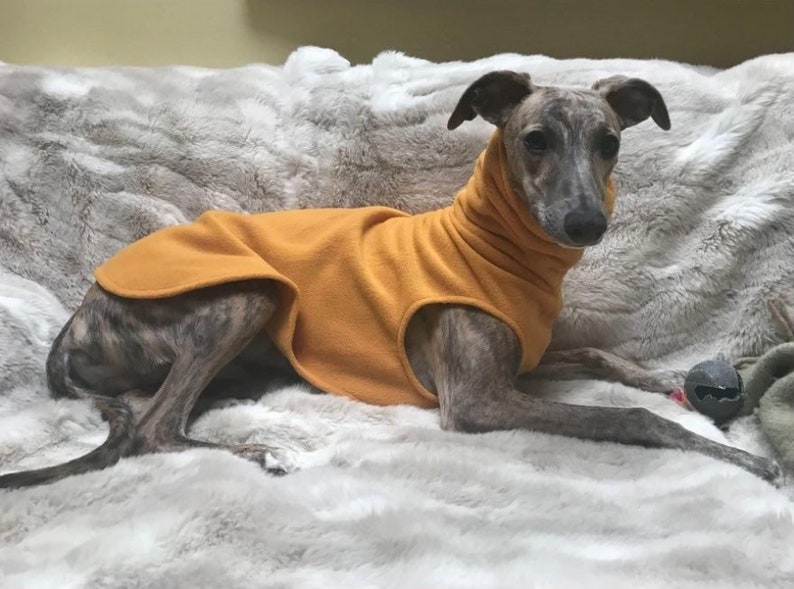 Greyhound and whippet,sighthound fleece jumpers / Sleeveless Sweater/pullover/vest OCHRE