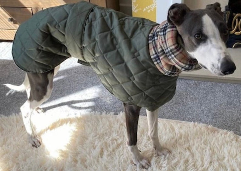 Italian greyhound quilted waterproof winter coats,Cirneco dell'Etna coats,whippet pup coats,dog coats custom made image 7