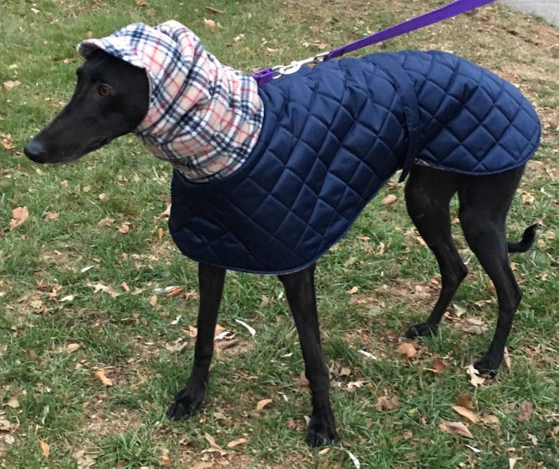 Greyhound waterproof winter coats with a long fleece neck. Etsy