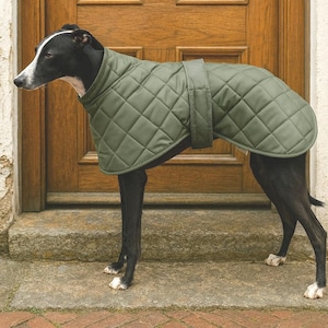 Greyhound jackets - Whippet jackets  - waterproof winter jacket for hounds .( Ziggy )