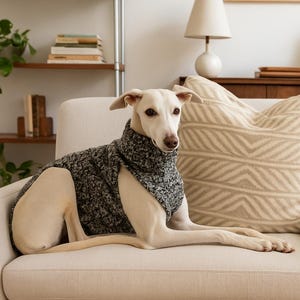 Greyhound Dog Sweater | Bouclé Marley Knit Dog Coat | Warm Sighthound Jacket | Winter Dog Clothes | Handmade Whippet Sweater