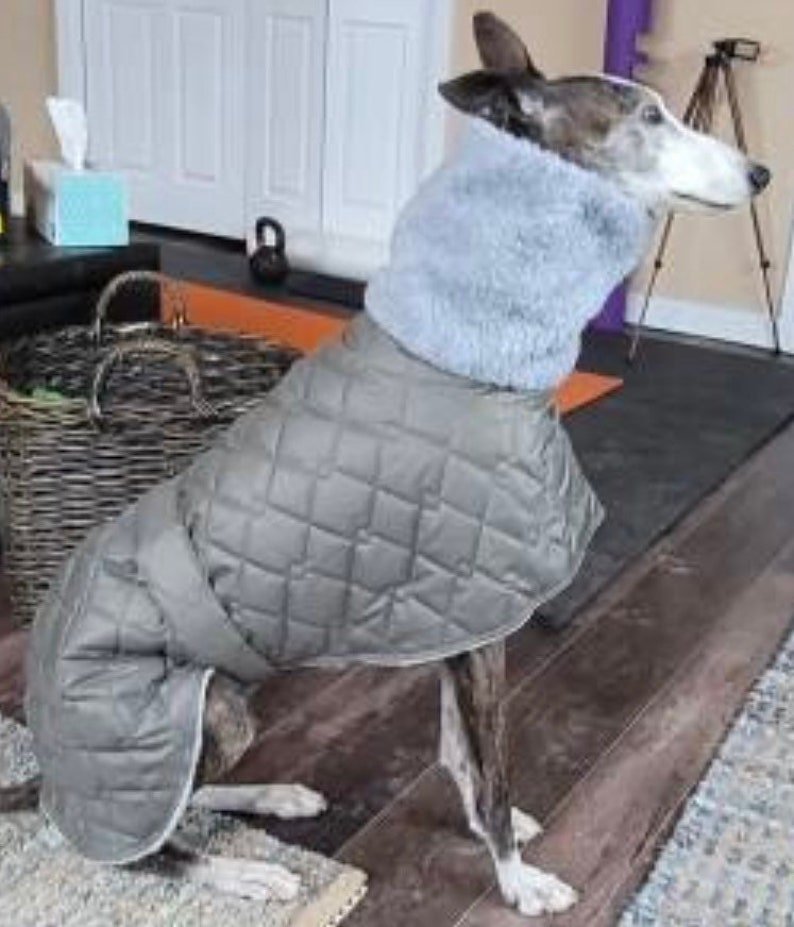 Waterproof greyhound coat with Sherpa fleece lined winter coats ,greyhound , whippet, lurcher, Italian Greyhound, extra warm coats image 4