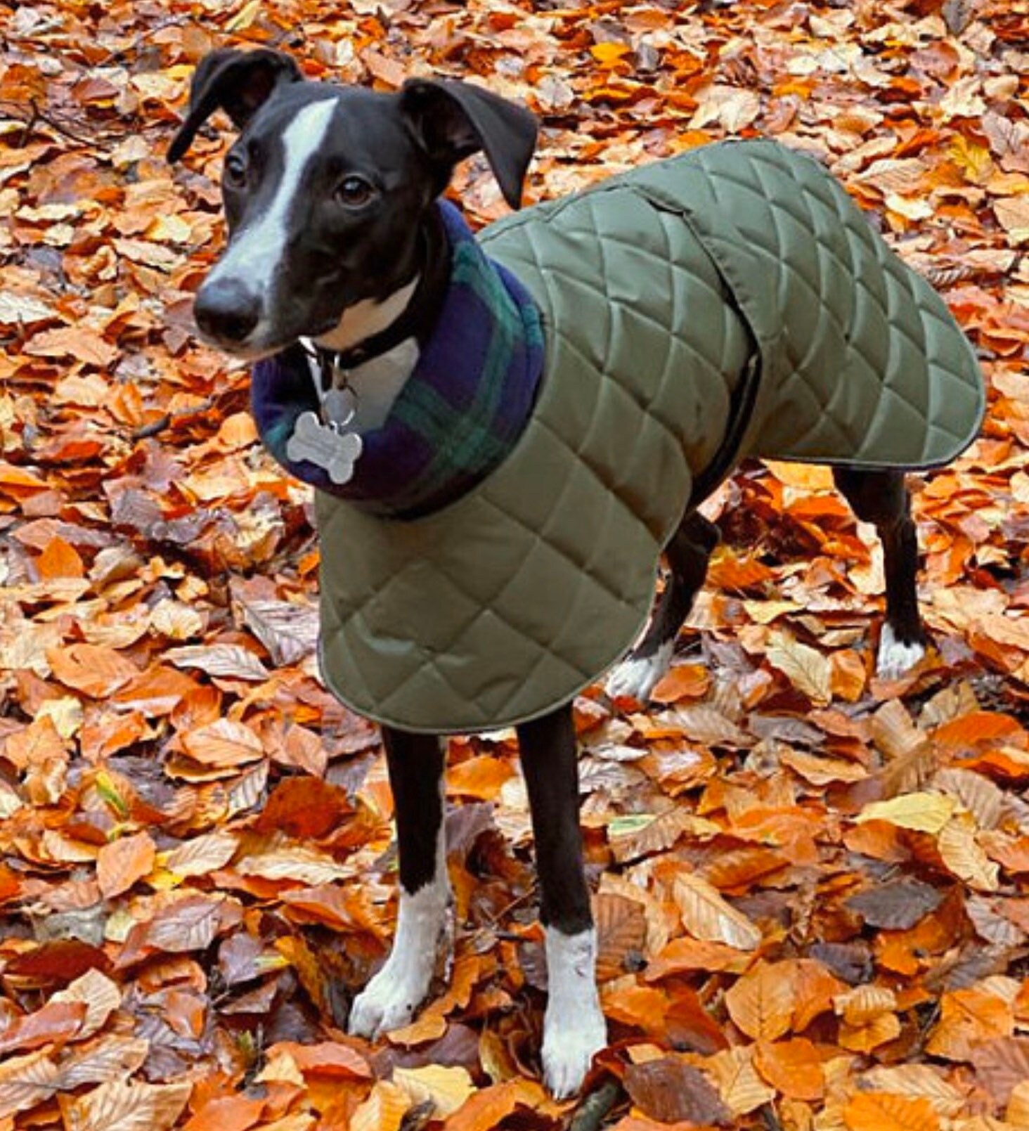 Whippet waterproof winter quilted coats with a long fleece Etsy