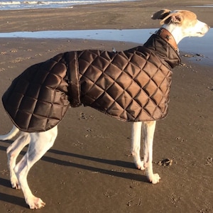 greyhound and whippet  fleece lined waterproof coats with short neck