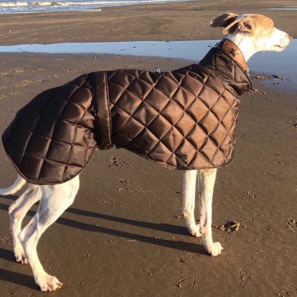 Greyhound and whippet fleece lined waterproof coats with short necks