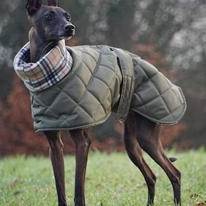 Custom Waterproof Whippet & Italian Greyhound Coat – Quilted Fleece-Lined Jacket with Neck Warmer and Harness Hole add if required