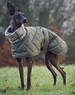 Italian greyhound quilted waterproof winter coats,Cirneco dell'Etna coats,whippet pup coats,dog coats custom made 