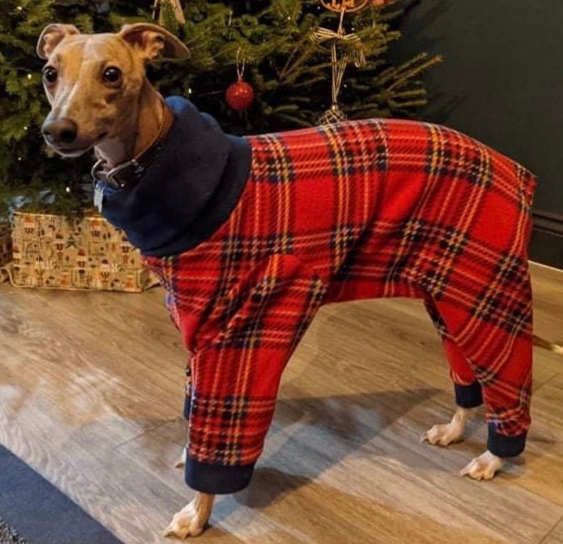 Greyhound Pyjamas, Greyhound Clothing, Greyhound Fleece Pjs, Dog Pyjamas, Whippet Clothing, whippet pyjamas , image 2
