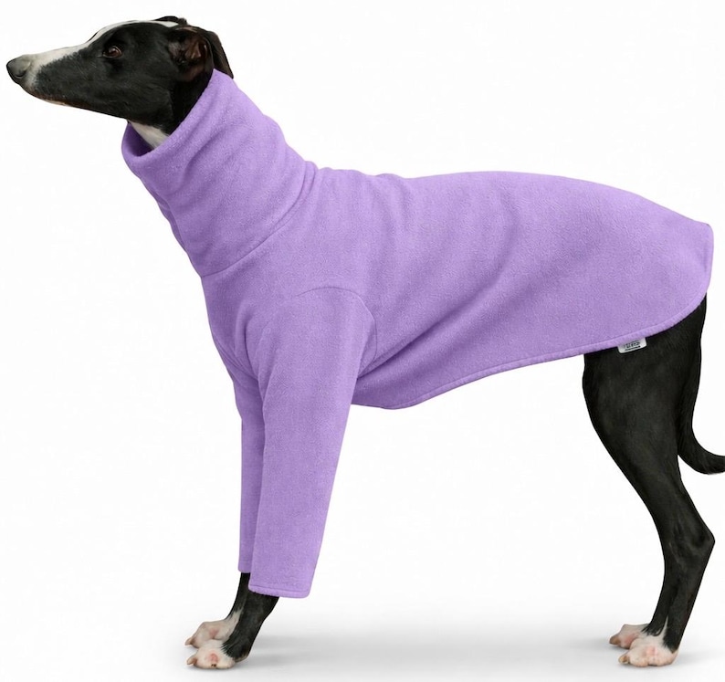 May include: A lavender dog sweater with a high turtleneck collar. The dog is black and white, wearing a fleece sweater. The sweater has long sleeves and covers the dog's body. The dog is standing on a white surface.