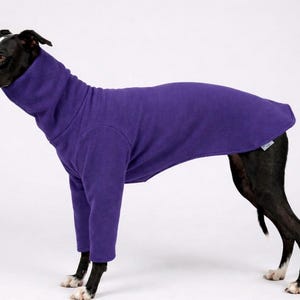 May include: A purple dog sweater with a high collar and sleeves, designed to cover the dog's body. The dog is black and white, and the sweater is made of a soft material. The dog is standing on a white background.
