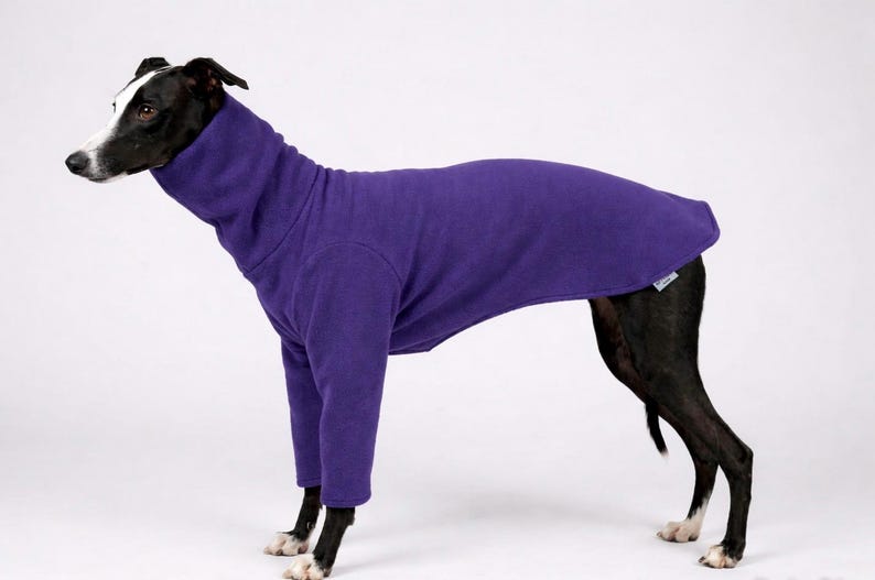 May include: A purple dog sweater with a high collar and sleeves, designed to cover the dog's body. The dog is black and white, and the sweater is made of a soft material. The dog is standing on a white background.