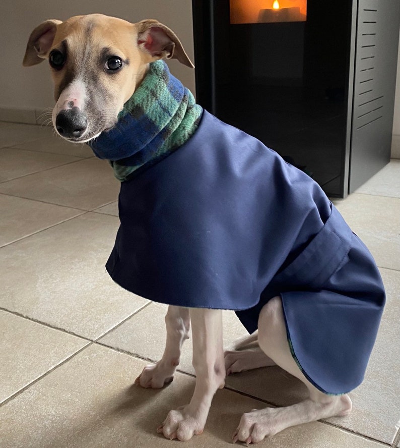 Manteau Greyhound, Manteau pour chien, Manteau doublé polaire, Manteau Whippet, Veste pour chien, Imperméable pour chien, Veste Whippet, image 2