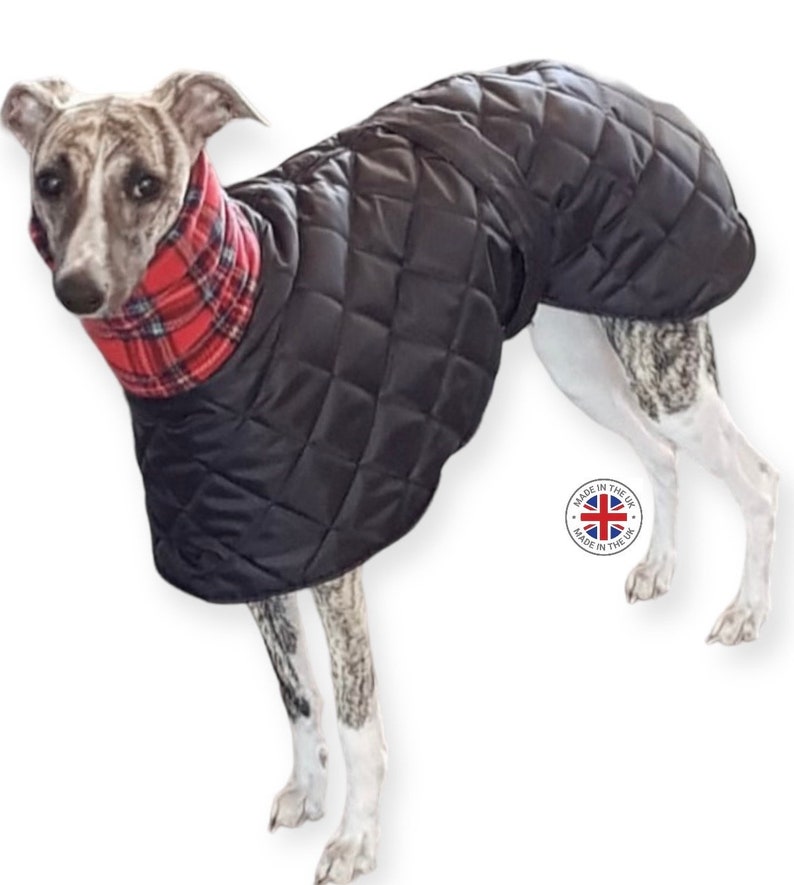 Waterproof winter greyhound coats. Winter coats for greyhound. Greyhound Fleece Coat UK image 3