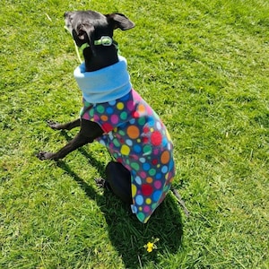 Greyhound Fleece Sweater: Sleeveless Whippet Jumper, Limited Edition