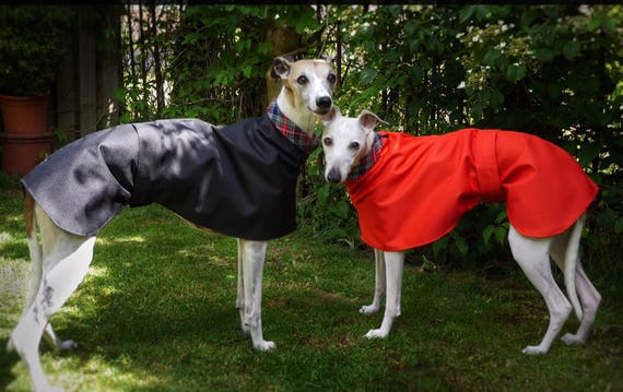 lightweight whippet coats