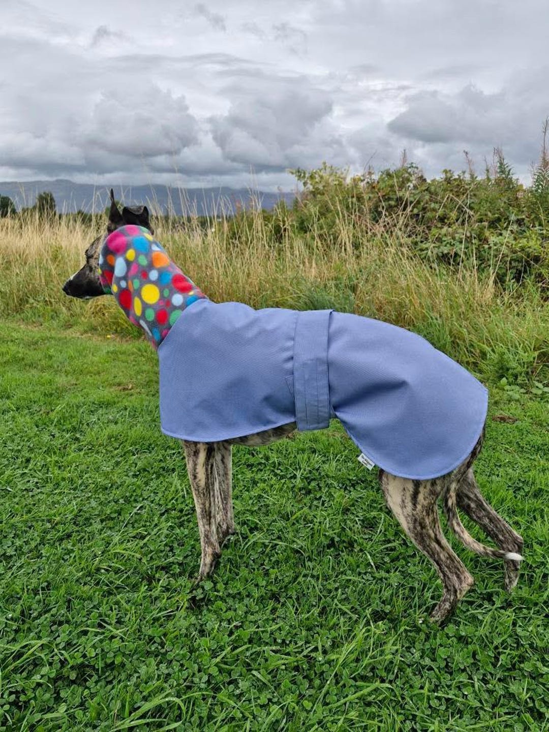 Abrigo Acolchado Para Galgo - Impermeable, Talla 22 Pulgadas, Color Gris