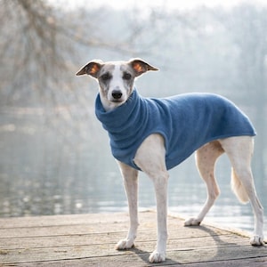 Lévrier et whippet, pull-over en laine polaire lévrier / Chandail/pull sans manches