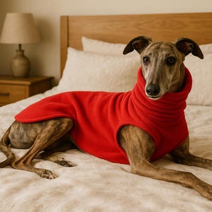 Whippet and greyhound cozy sweater - tailored fleece jumper for sighthounds