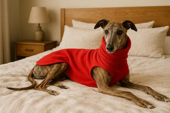 Whippet and greyhound cozy fleece  sweater - tailored fleece jumper for sighthounds