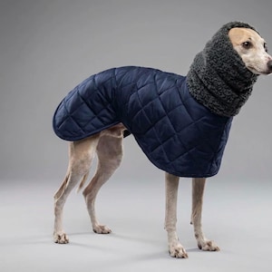 May include: A dog wearing a navy blue quilted coat and a grey knitted hood. The coat has a diamond pattern and covers the dog's back and sides. The hood covers the dog's head and neck, providing warmth and protection.