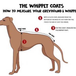 Italian greyhound quilted waterproof winter coats,Cirneco dell'Etna coats,whippet pup coats,dog coats custom made image 10