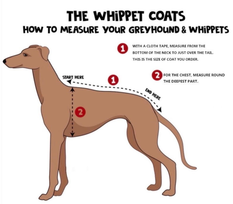 Italian greyhound quilted waterproof winter coats,Cirneco dell'Etna coats,whippet pup coats,dog coats custom made image 10
