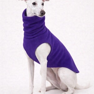 May include: A white dog wearing a vibrant purple fleece turtleneck sweater, sitting against a plain white background. The dog's sleek coat contrasts with the rich color of the sweater, which covers the dog's torso and neck, providing warmth and style.