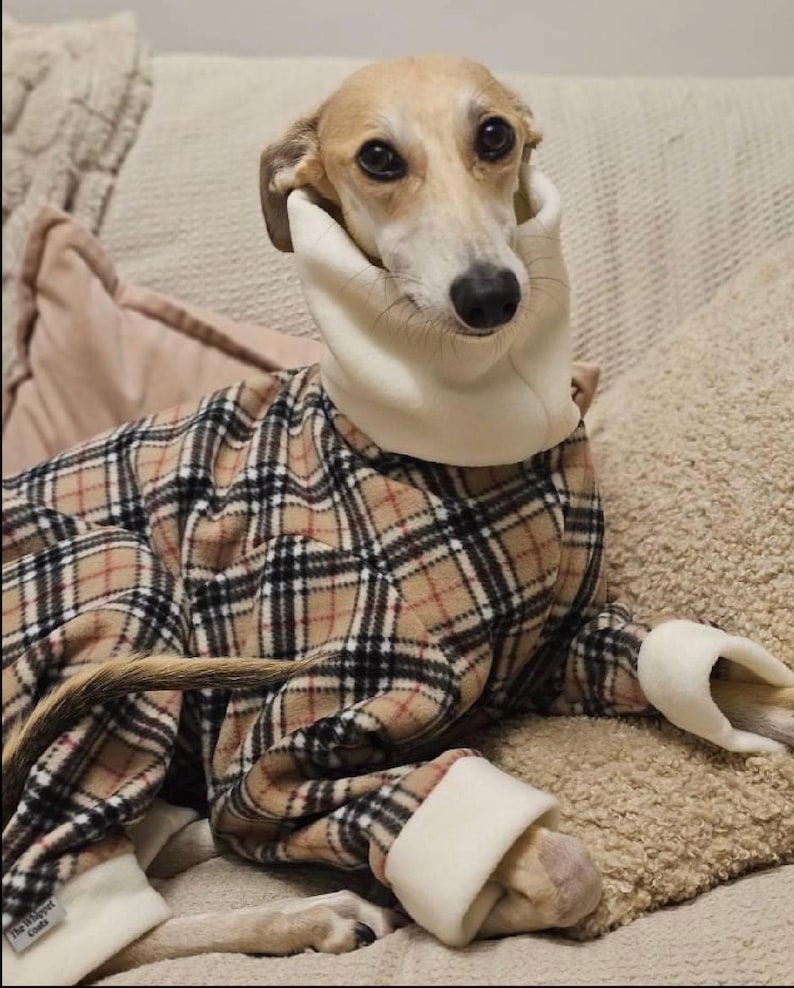 Whippet Fleece Pyjamas – Warm Dog Onesie Sleepwear for Sighthounds ...