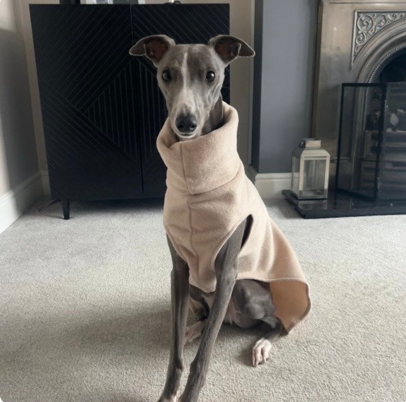 Greyhound and whippet,sighthound fleece jumpers / Sleeveless Sweater/pullover/vest image 3