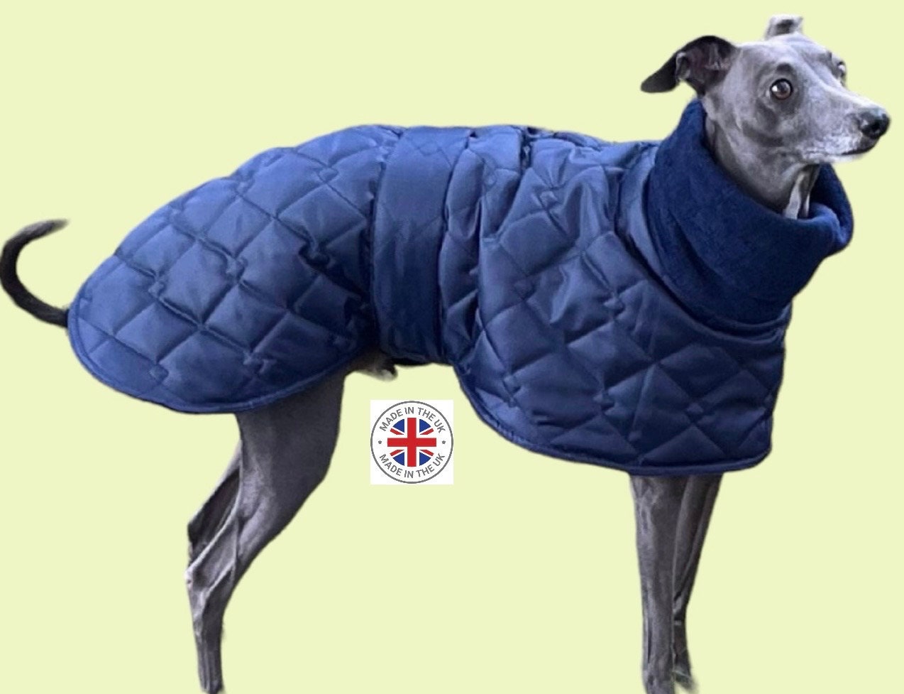 How to measure top whippet for coat