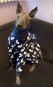 Greyhound Pyjamas, Greyhound Clothing, Greyhound Fleece Pjs,Whippet Clothing, whippet pyjamas , Italian Greyhound (rabbits pjs) 