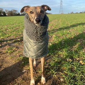 Waterproof greyhound coat with Sherpa fleece lined winter coats ,greyhound , whippet, lurcher, Italian Greyhound, extra warm coats image 2