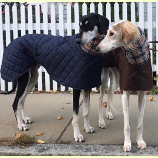 Manteaux et vestes d'hiver doublés de molleton gris et whippet avec long cou en molleton