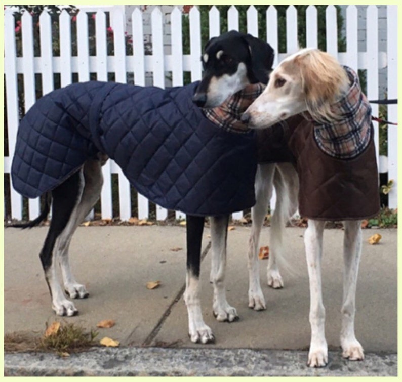 Waterproof winter greyhound coats. Winter coats for greyhound. Greyhound Fleece Coat UK image 1