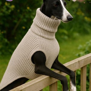 Stone Knit Greyhound Sweater: Sleeveless Whippet Jumper